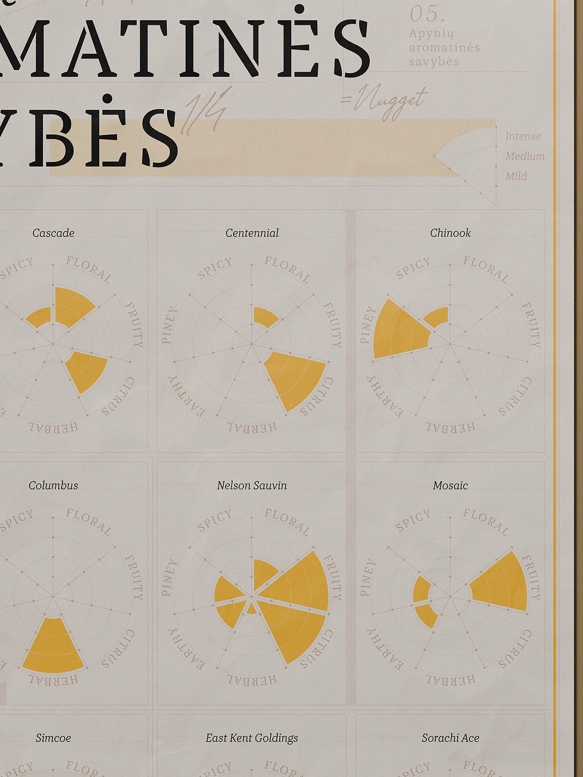 Detail of the “Hop Aromatic Properties” poster, showing radial charts comparing aroma profiles of hop varieties like Cascade, Centennial, Chinook, Columbus, and Mosaic. Each chart visualizes flavor dimensions such as citrus, floral, and herbal notes in a warm yellow tone.
